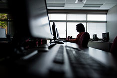 Information Technology Career Guide