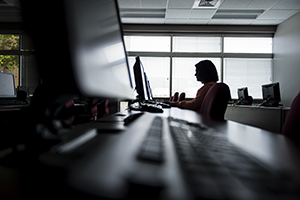 Information Technology Career Guide
