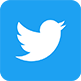 Twitter Social Icon